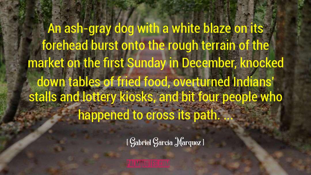 Fried Food quotes by Gabriel Garcia Marquez