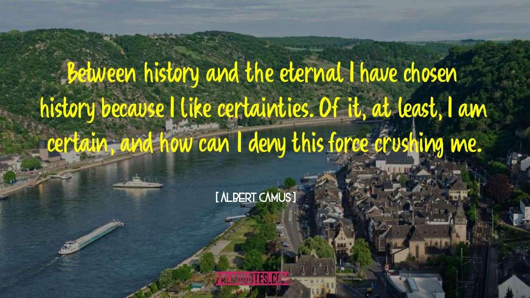 Friend Crush quotes by Albert Camus