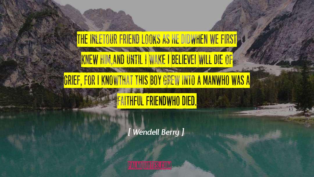 Friend Enemy quotes by Wendell Berry