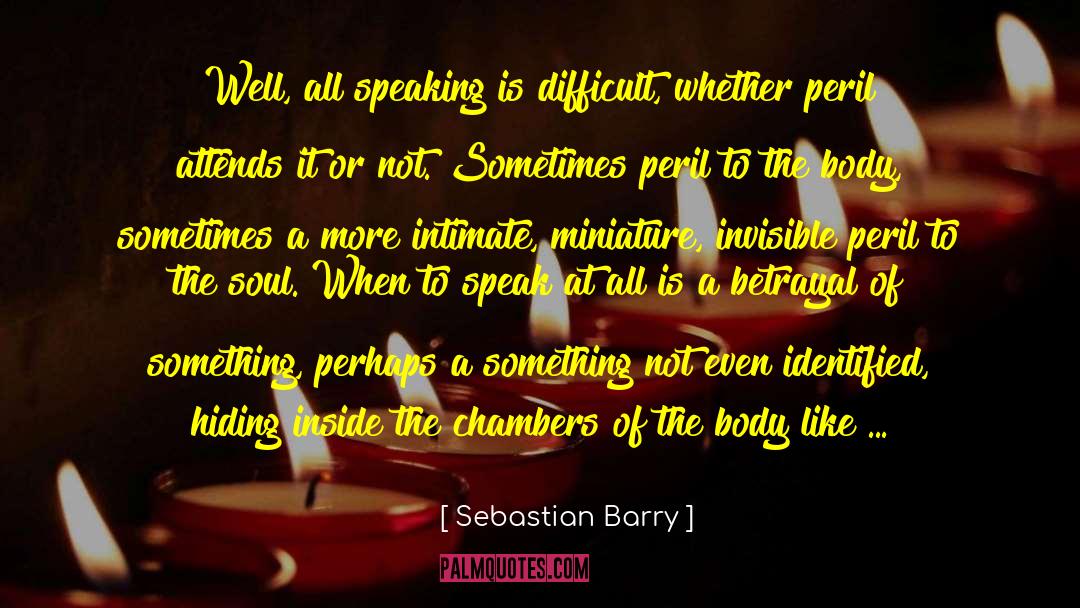 Friend Hiding Something quotes by Sebastian Barry