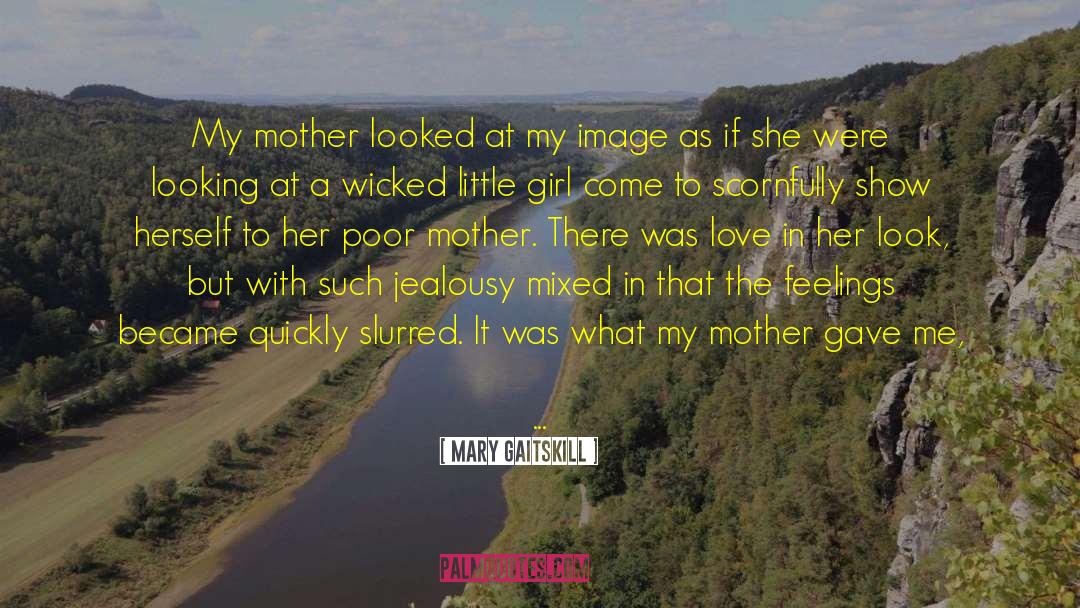 Friend Jealousy quotes by Mary Gaitskill