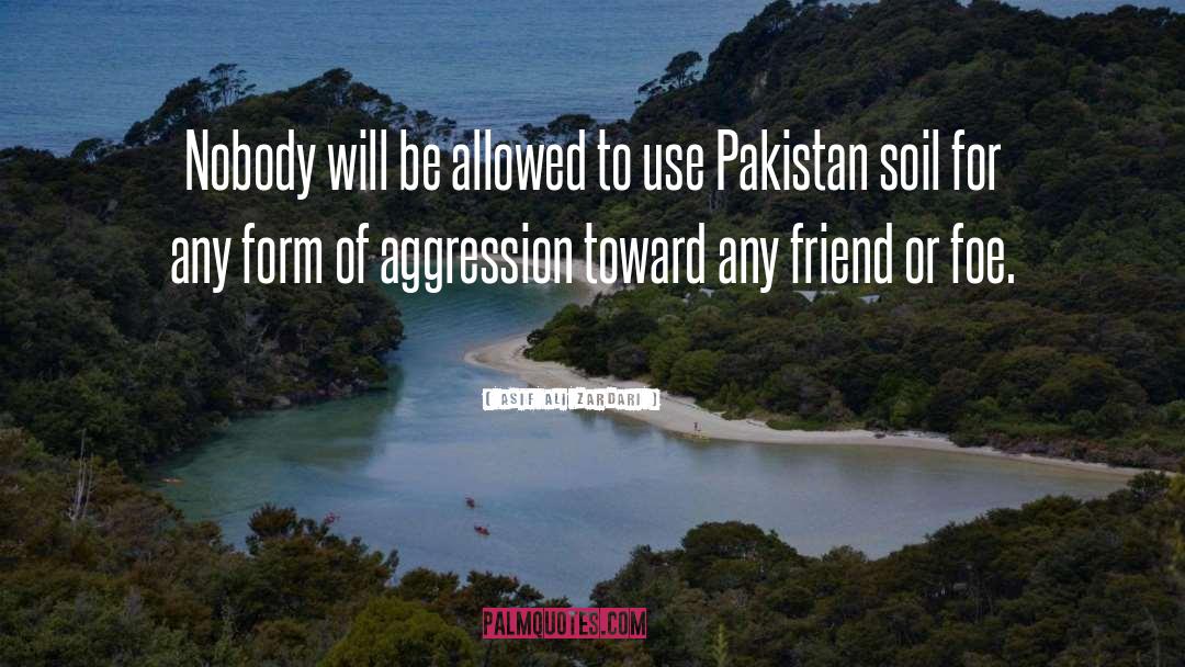 Friend Or Foe quotes by Asif Ali Zardari