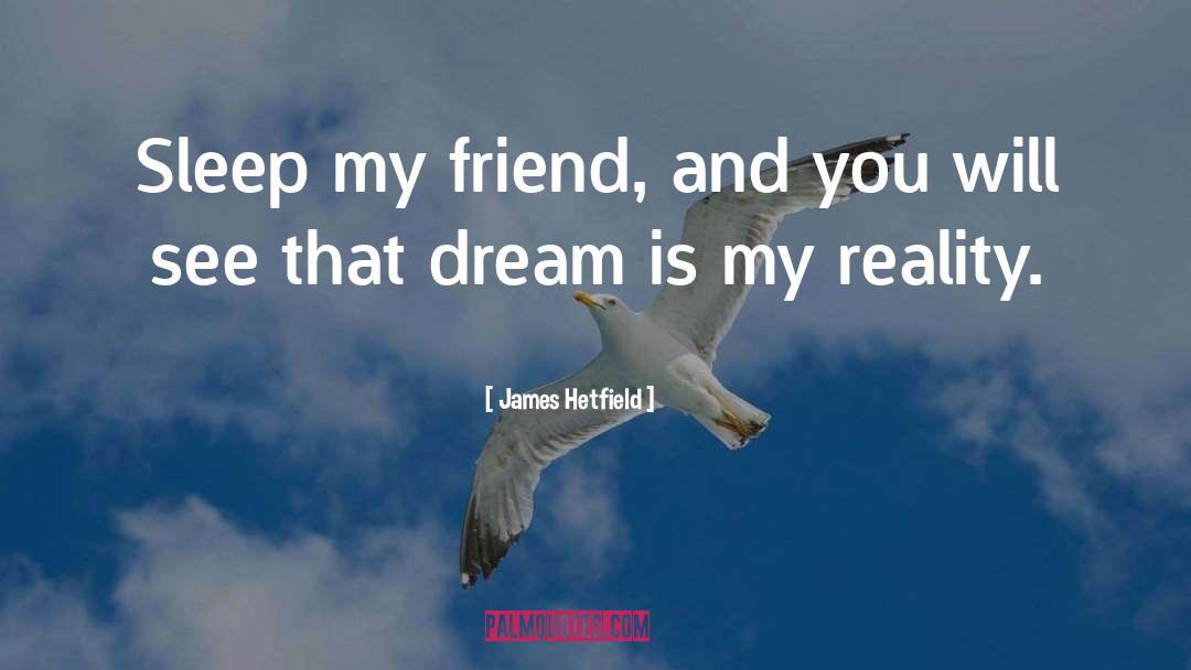 Friend Zone quotes by James Hetfield