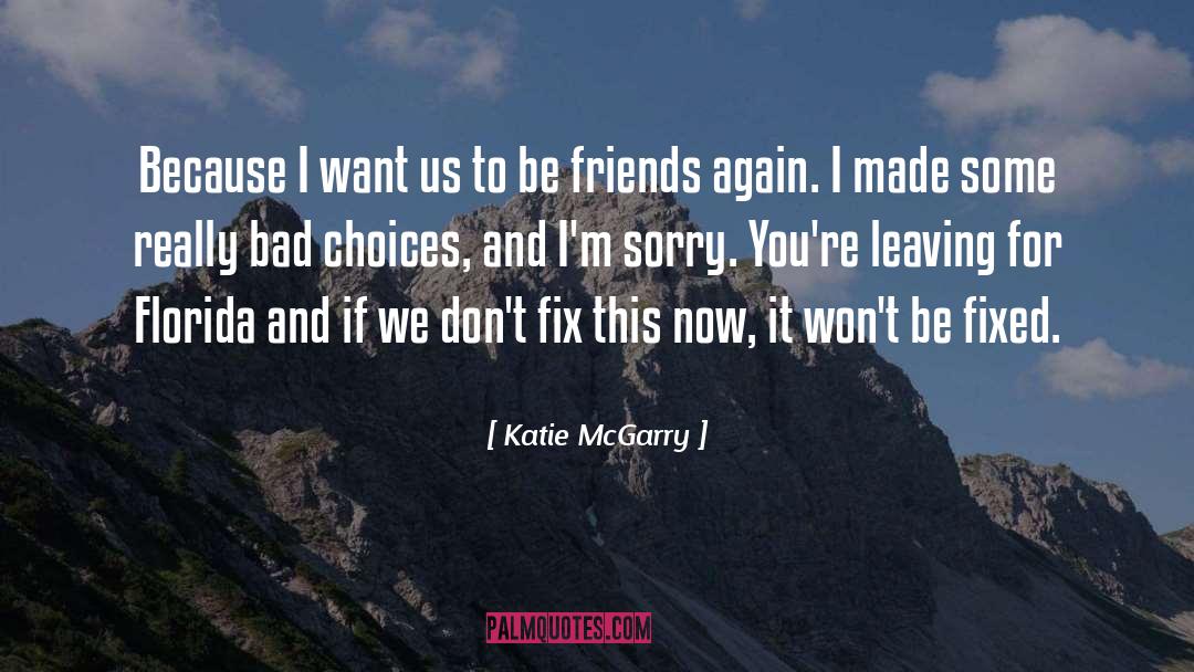 Friends Again quotes by Katie McGarry