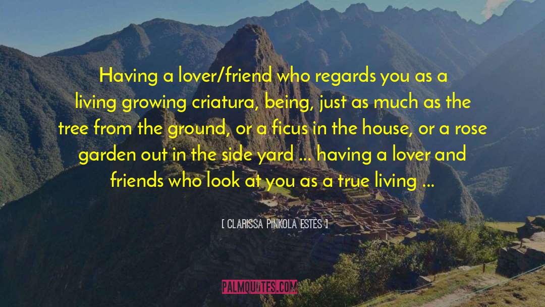 Friends And Lovers quotes by Clarissa Pinkola Estes