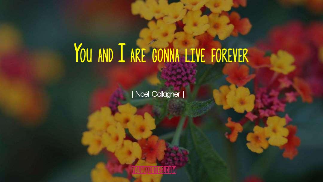 Friends Arent Forever quotes by Noel Gallagher