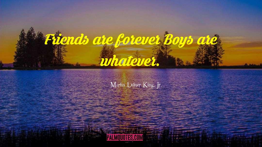 Friends Arent Forever quotes by Martin Luther King, Jr.