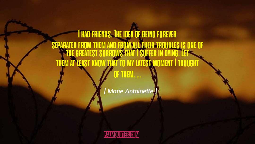 Friends Arent Forever quotes by Marie Antoinette