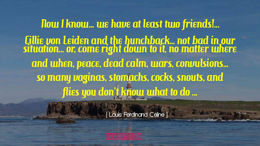 Friends Do Change quotes by Louis Ferdinand Celine