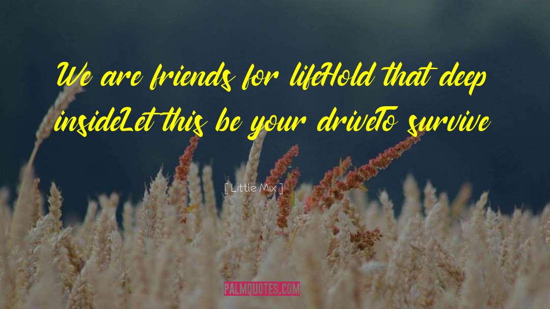 Friends For Life quotes by Little Mix