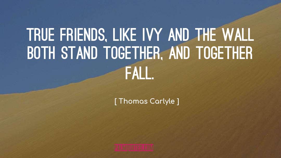 Friends Loyalty Support quotes by Thomas Carlyle