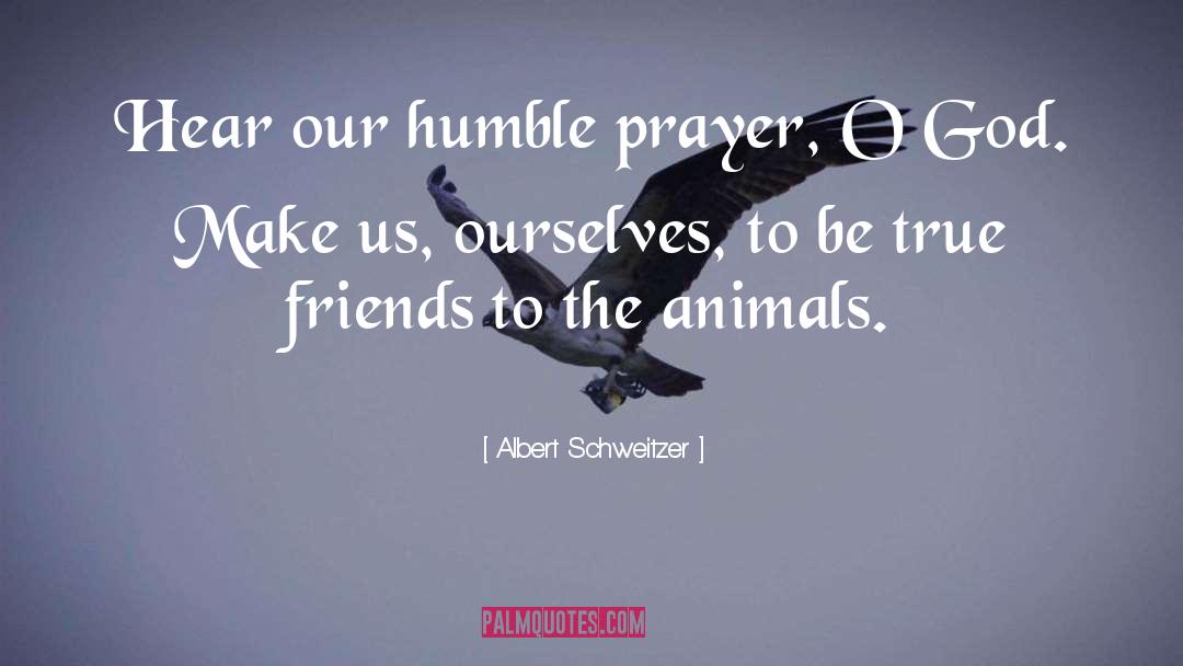 Friends Prayer quotes by Albert Schweitzer