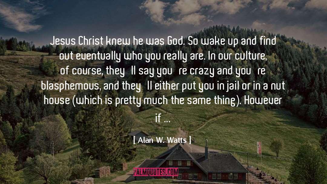 Friends That You Lose quotes by Alan W. Watts