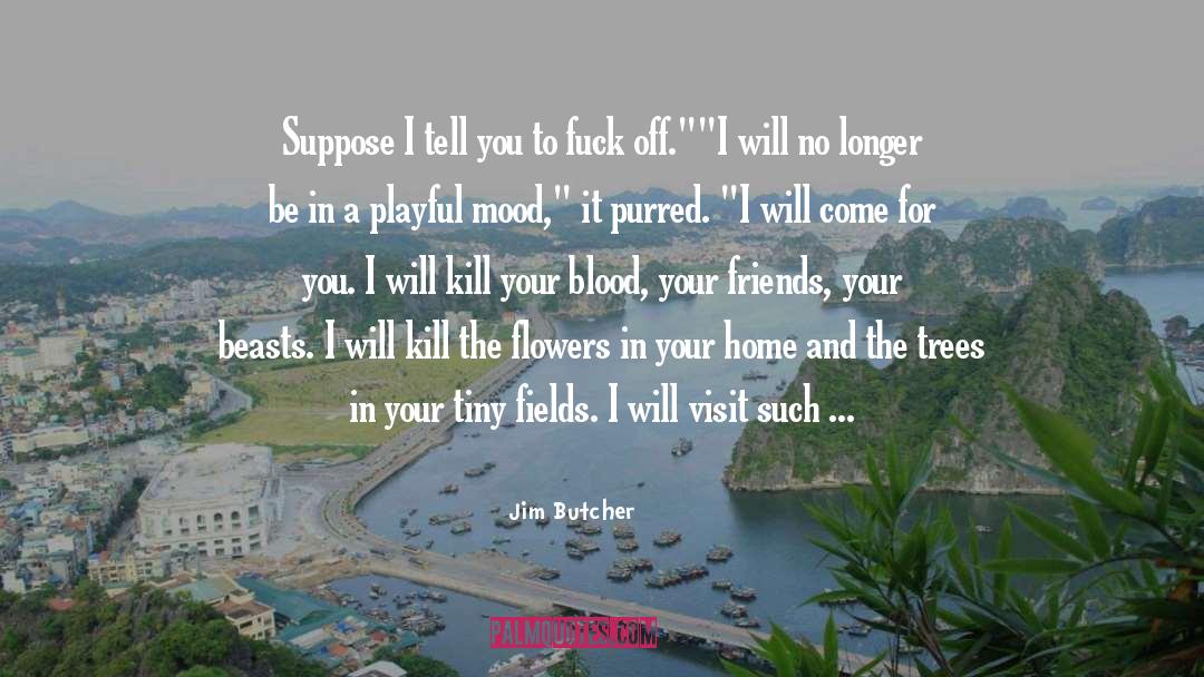 Friends To Kill A Mockingbird quotes by Jim Butcher