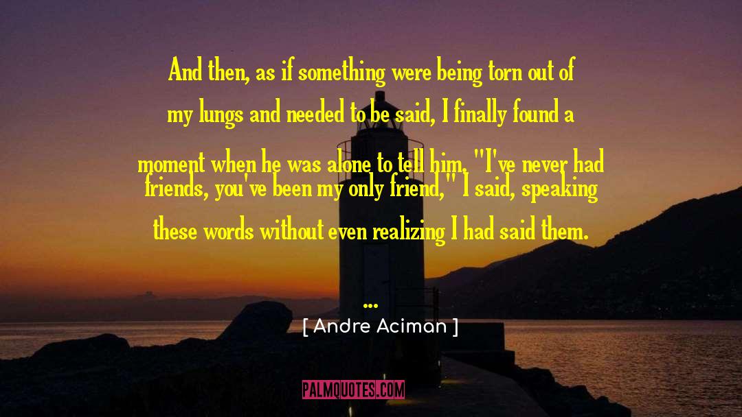 Friends Torn Apart quotes by Andre Aciman