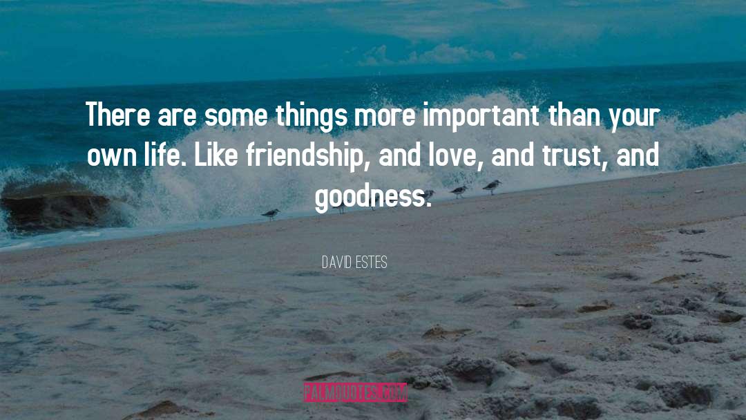 Friendship And Love quotes by David Estes