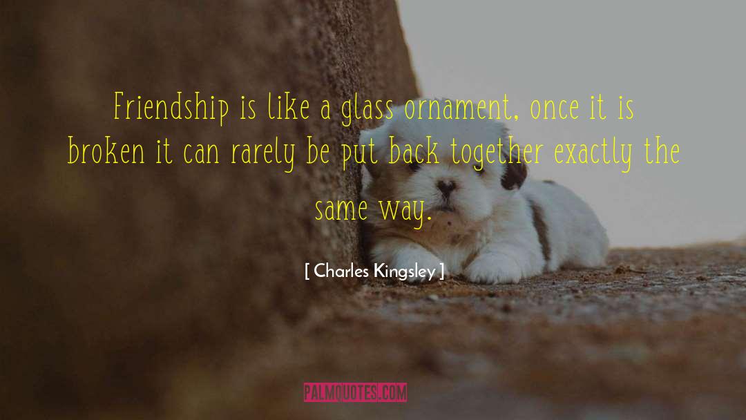 Friendship Apology quotes by Charles Kingsley