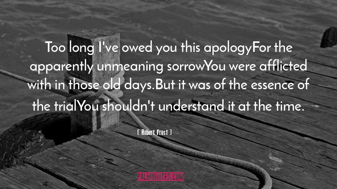 Friendship Apology quotes by Robert Frost