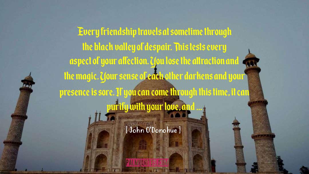 Friendship Is Divine quotes by John O'Donohue