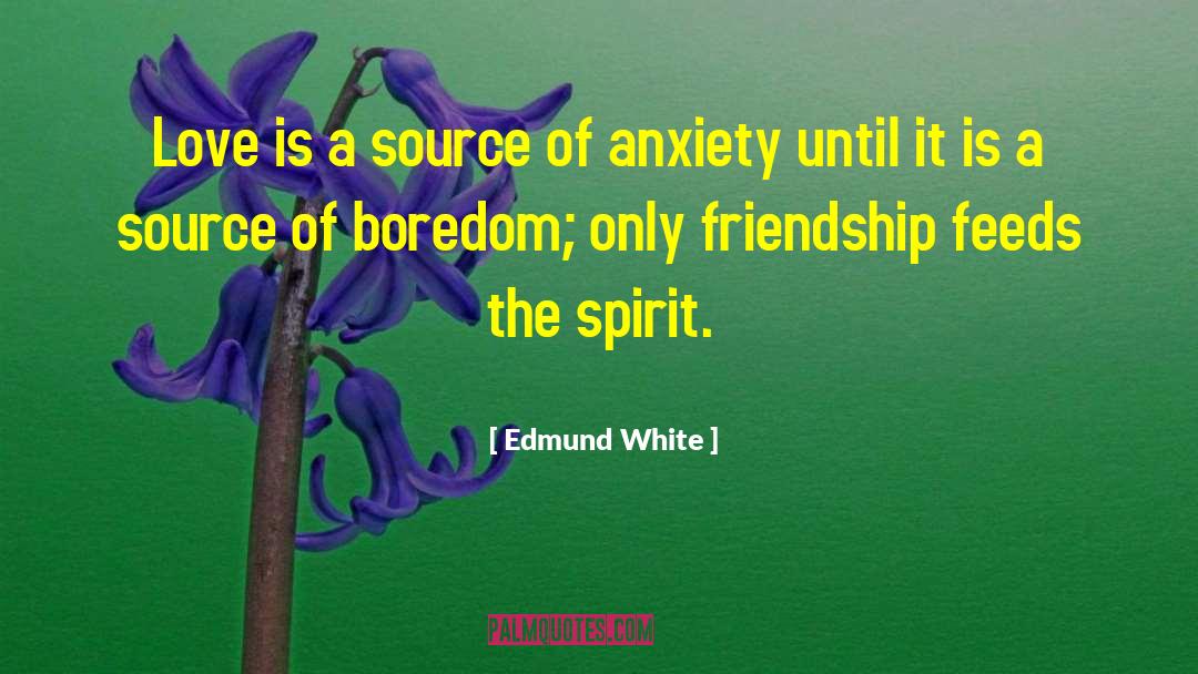 Friendship Love quotes by Edmund White