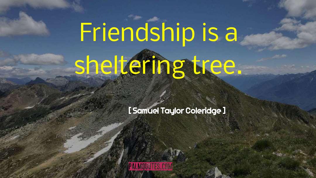 Friendship Movie Quote quotes by Samuel Taylor Coleridge