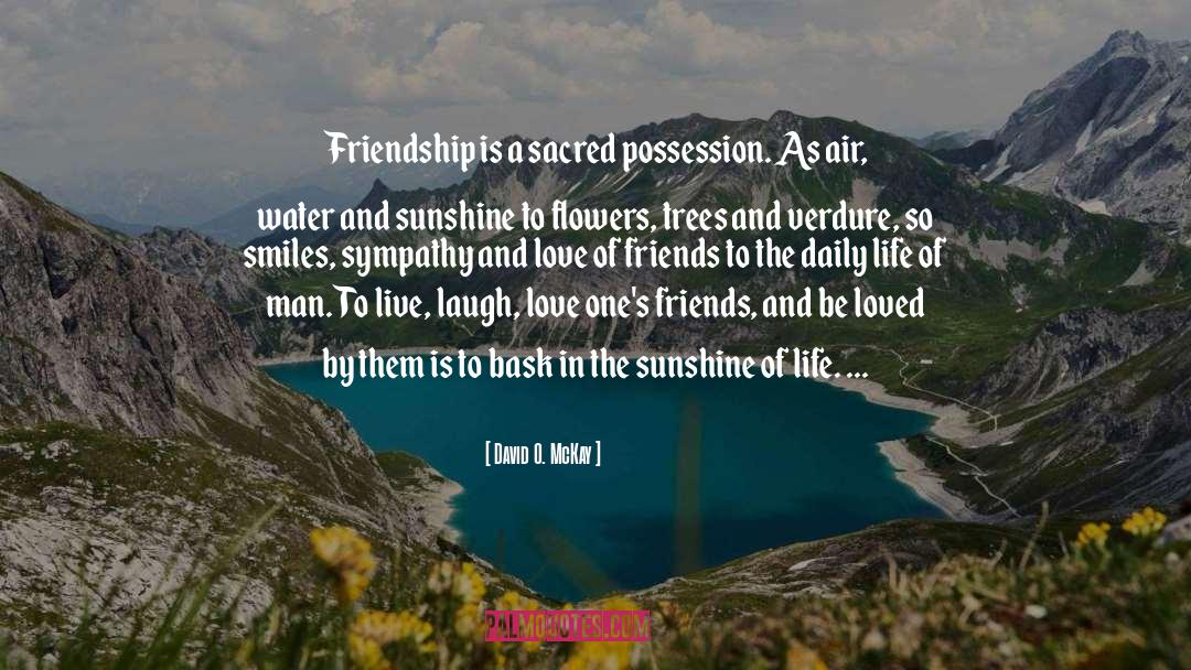 Friendship quotes by David O. McKay