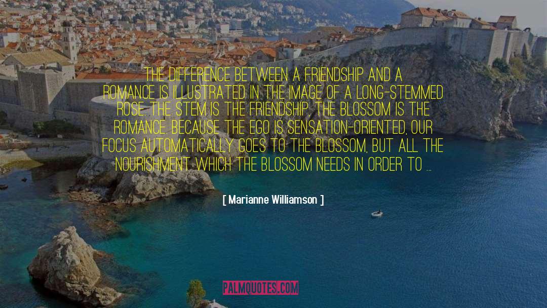 Friendship Romance quotes by Marianne Williamson