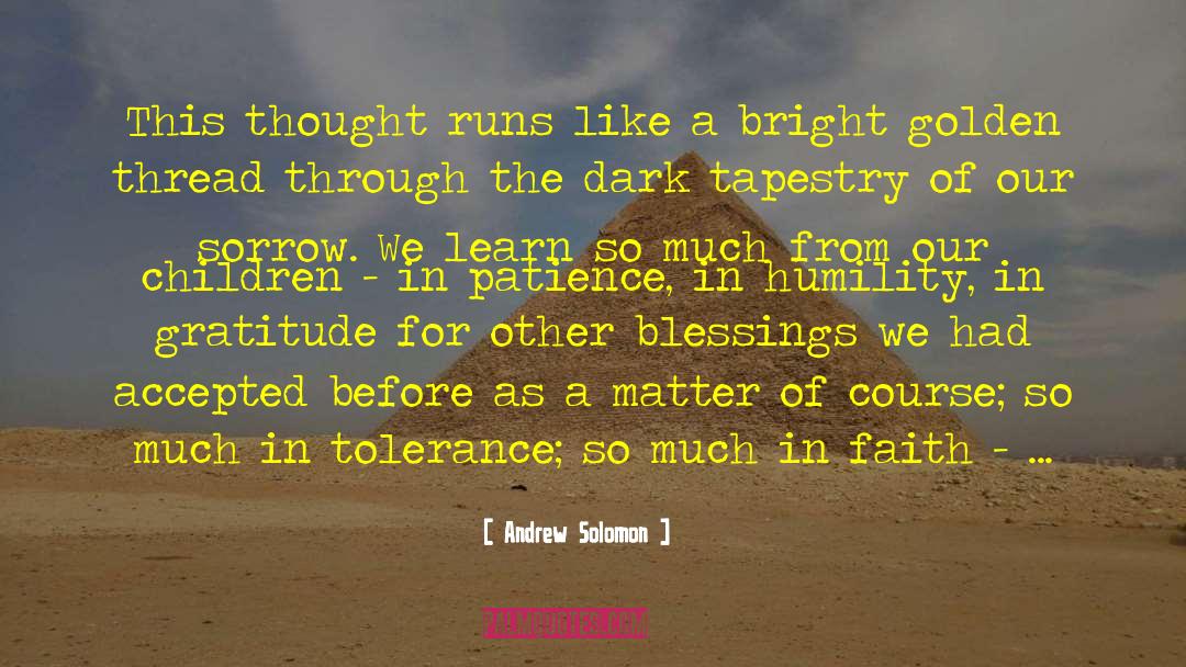 Friendship Tolerance quotes by Andrew Solomon