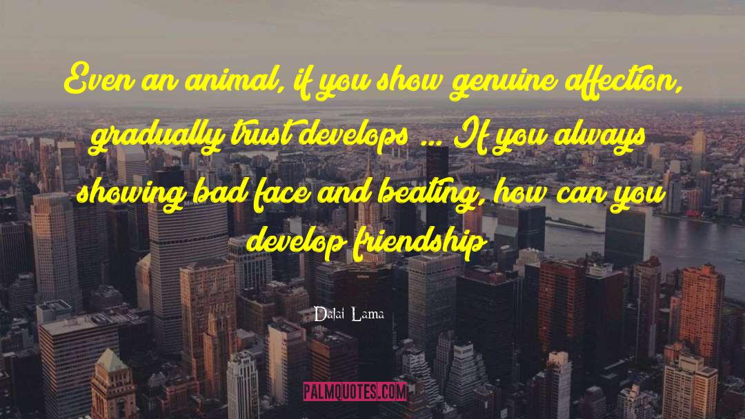 Friendship Tolerance quotes by Dalai Lama