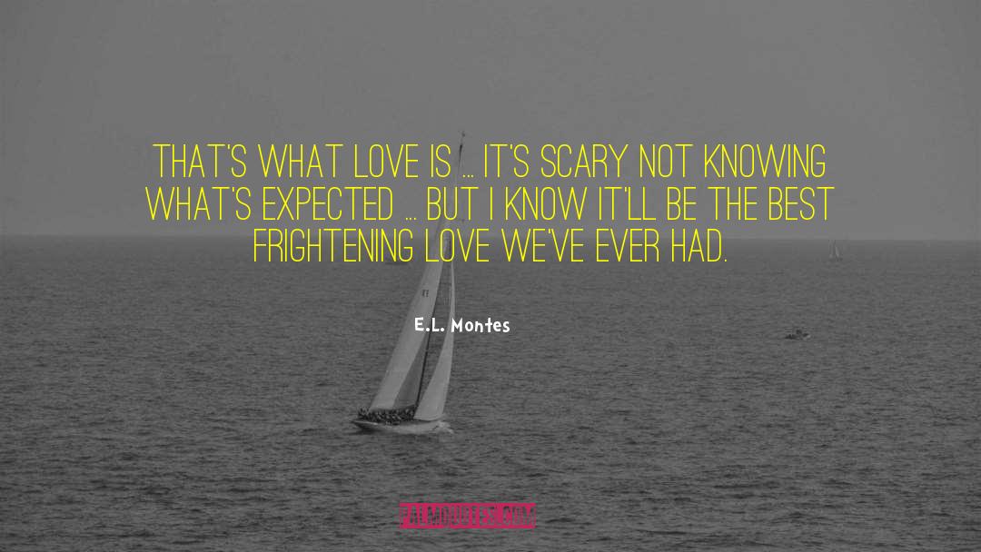 Frightening Love quotes by E.L. Montes