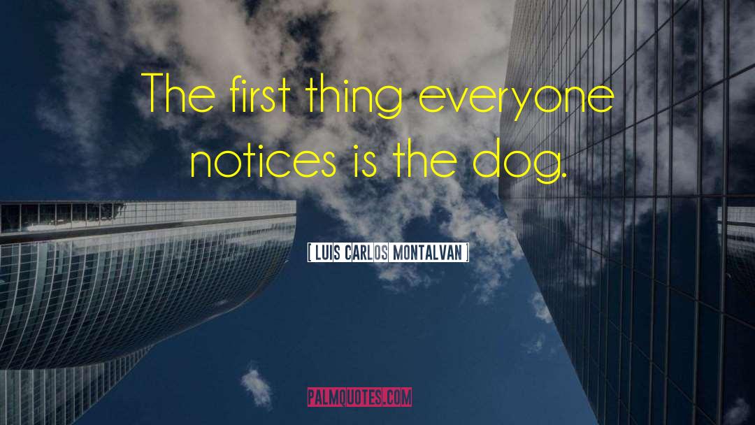 Frise Dog quotes by Luis Carlos Montalvan