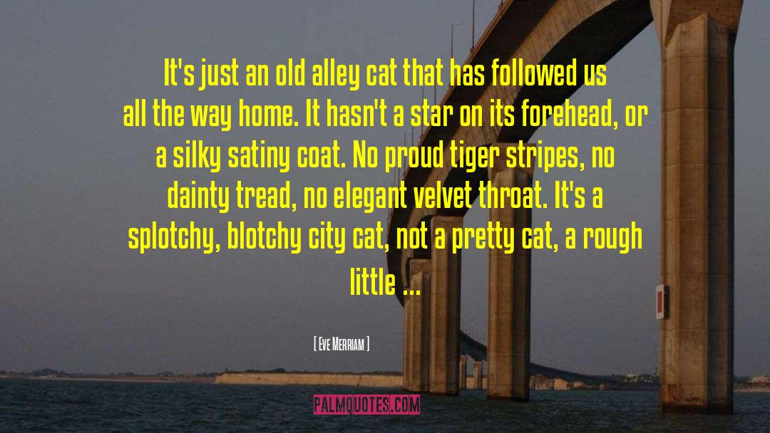Frisky Cat quotes by Eve Merriam
