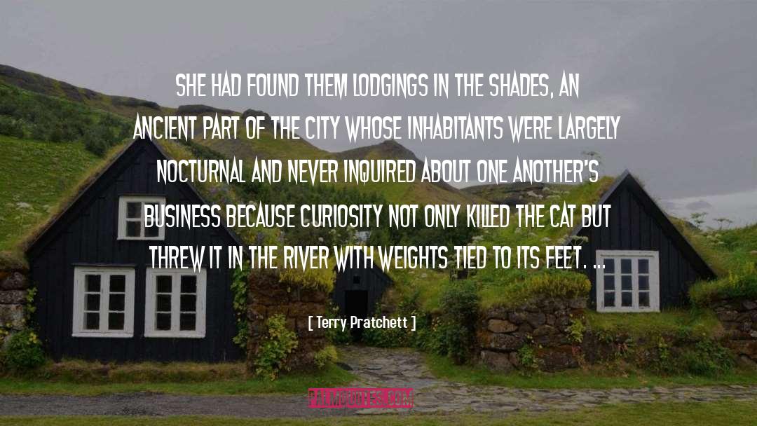 Frisky Cat quotes by Terry Pratchett