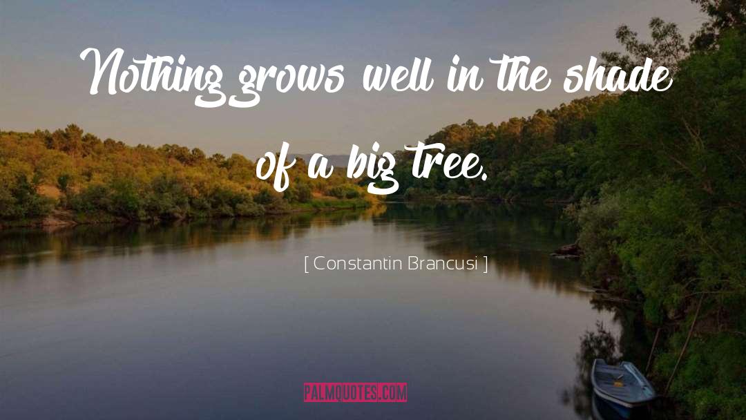 Fritchens Tree quotes by Constantin Brancusi