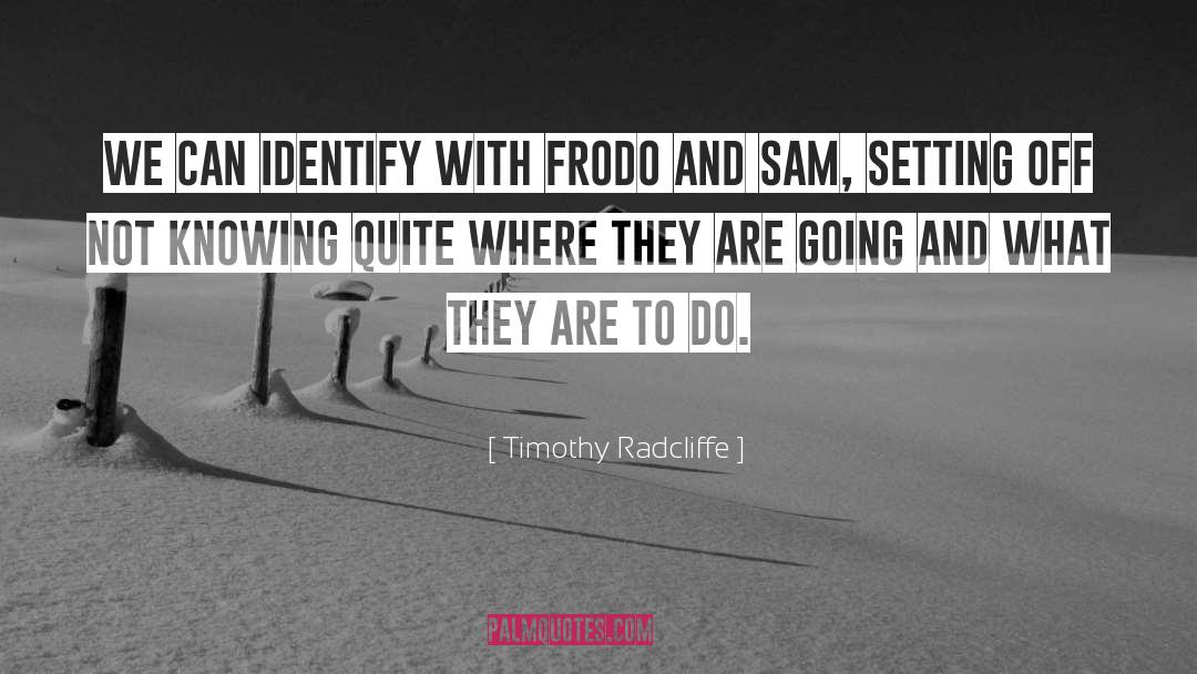 Frodo quotes by Timothy Radcliffe