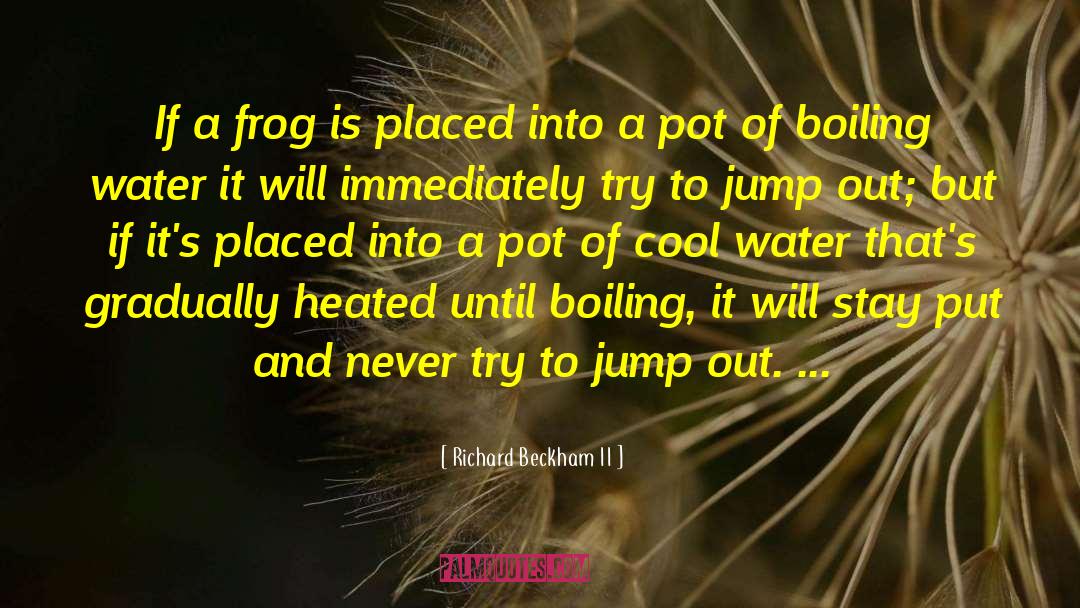 Frog In The Pot quotes by Richard Beckham II