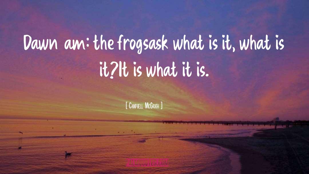 Frogs quotes by Campbell McGrath
