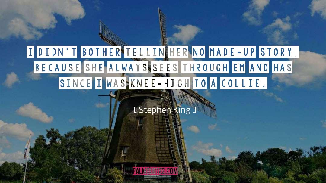 Frohwein Stephen quotes by Stephen King