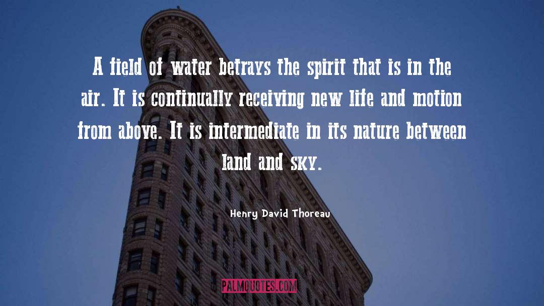 From Above quotes by Henry David Thoreau