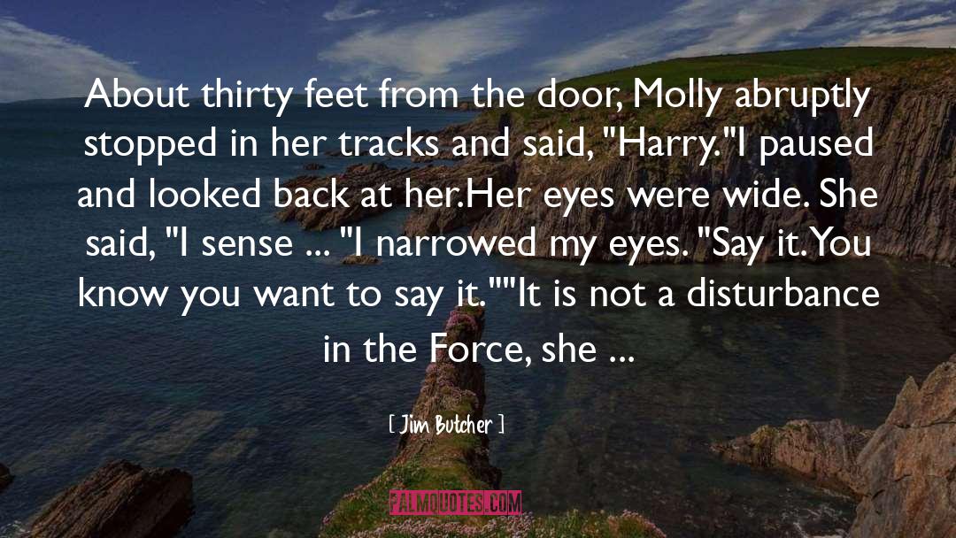 From My Eyes quotes by Jim Butcher