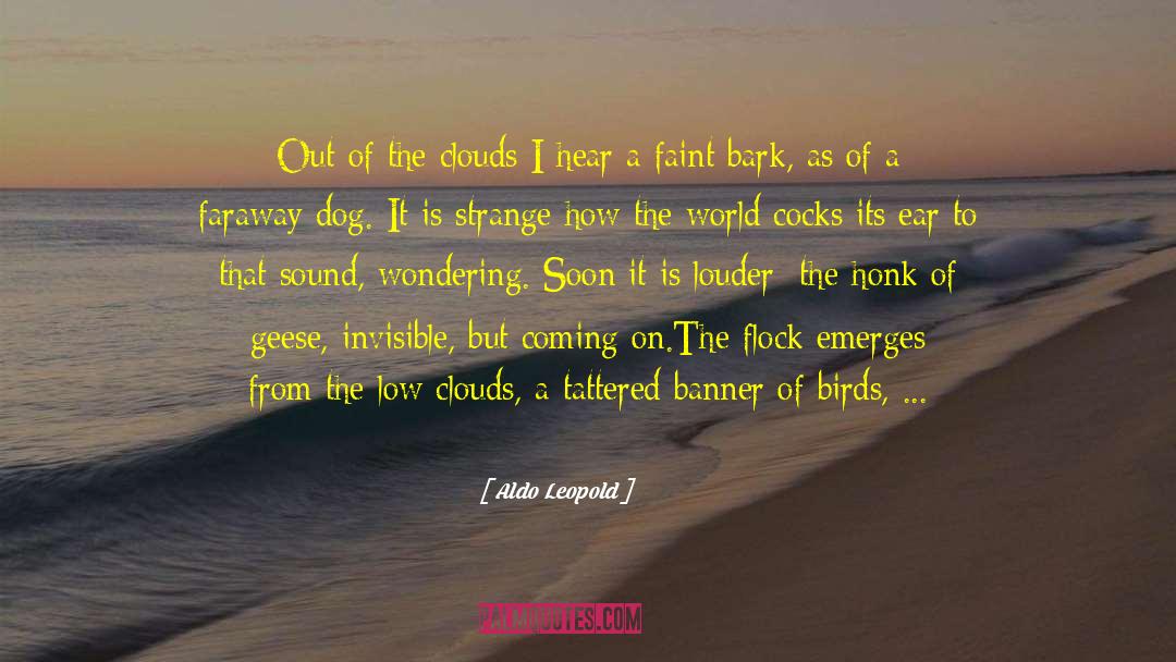From Sand County Almanac quotes by Aldo Leopold