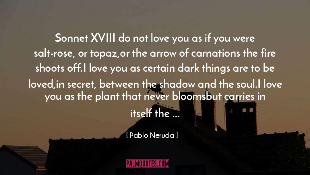 From Sonnet Lvii quotes by Pablo Neruda