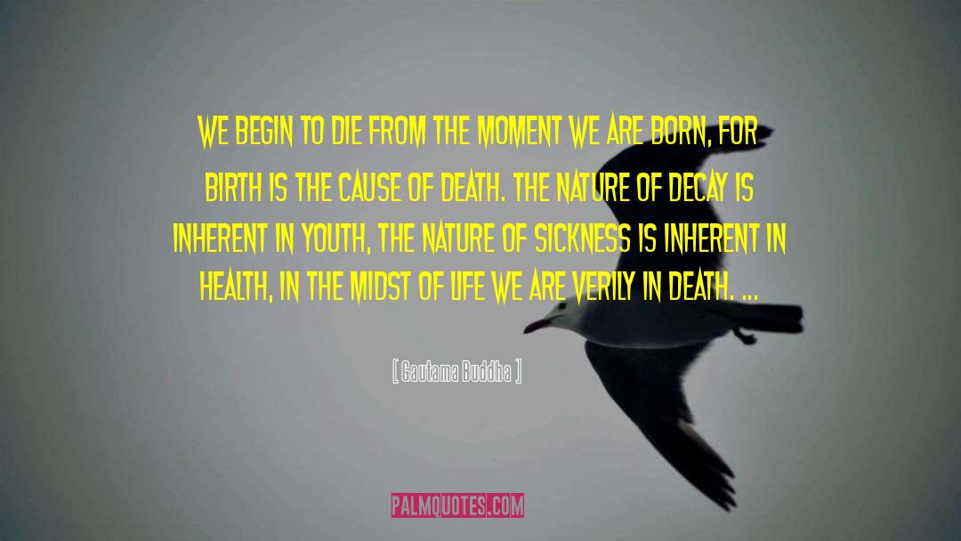 From The Ashes quotes by Gautama Buddha
