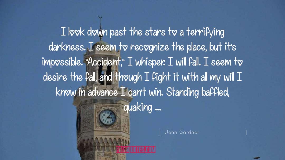 From The Dark To The Dawn quotes by John Gardner