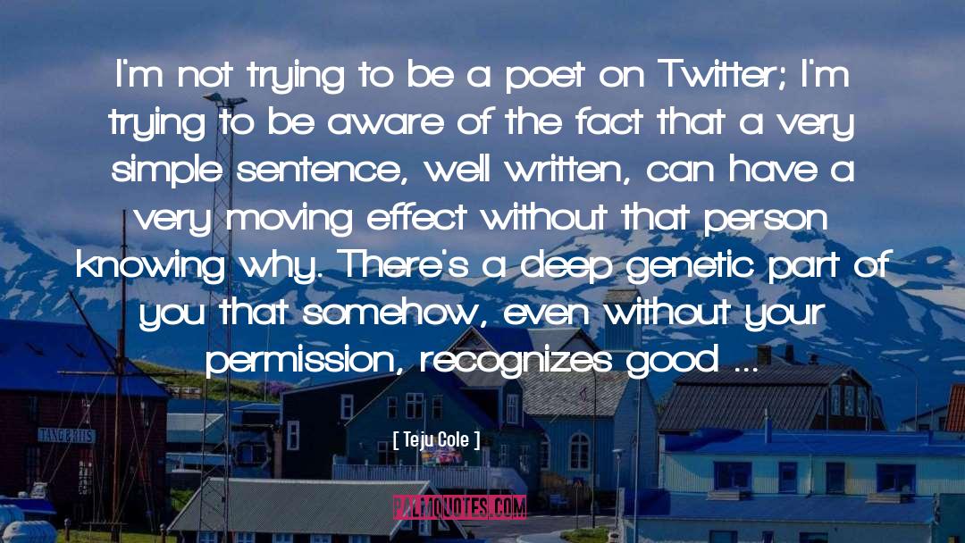 From Twitter quotes by Teju Cole