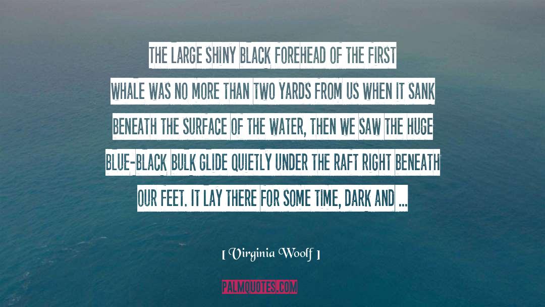 From Whale Music quotes by Virginia Woolf