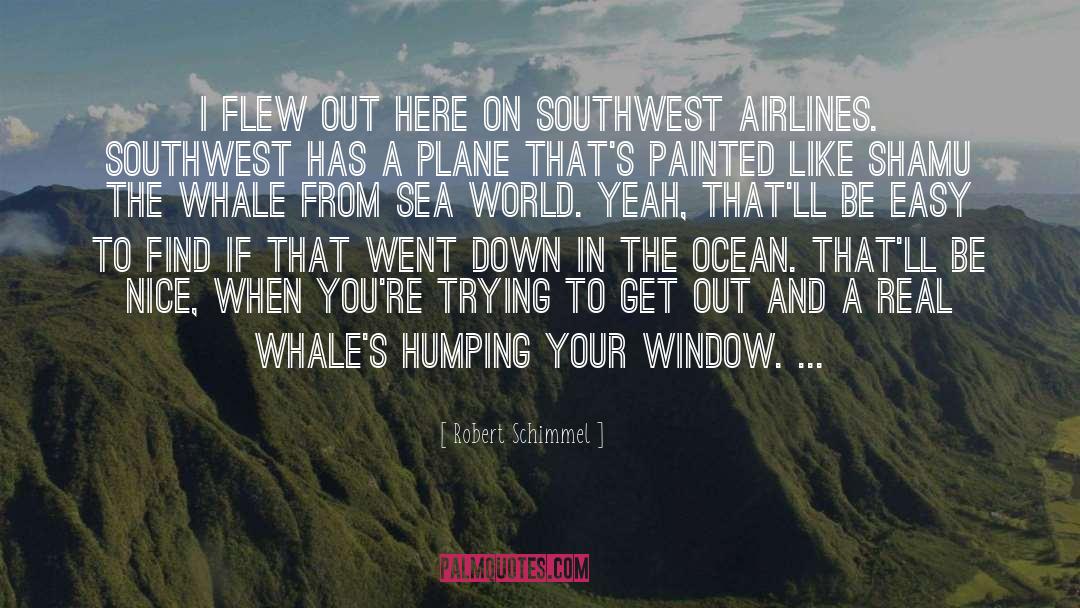 From Whale Music quotes by Robert Schimmel