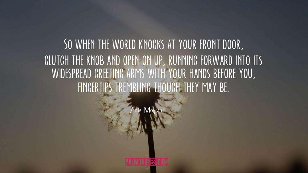 Front Doors quotes by Anis Mojgani