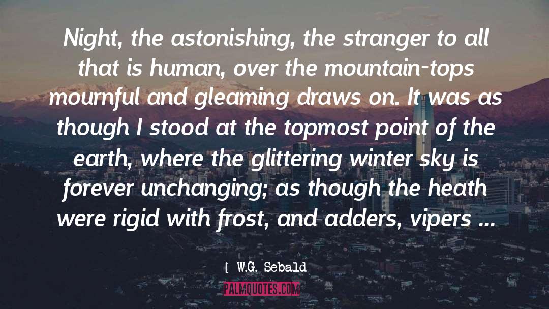 Frost quotes by W.G. Sebald