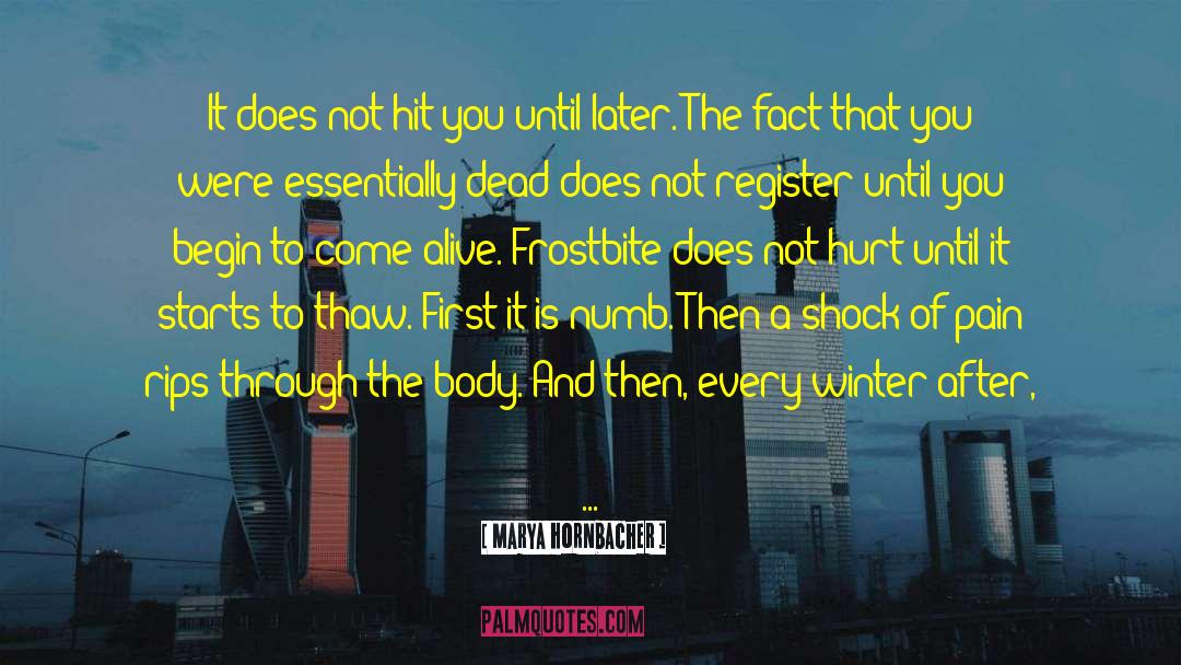 Frostbite quotes by Marya Hornbacher